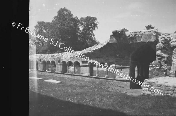 ARDFERT FRIARY SCENES CLOISTERS